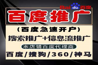 SEM服务公司成功案例解读